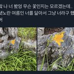 [NCT즌] 예뿌네. .