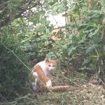 [댓글부탁해] 주걱턱 좀 봐주라...