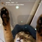 [NCT즌] 톈 스토리