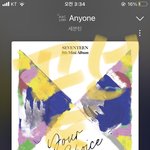 [세븐틴] 얘들아 근데 우리 스밍 <b>강요</b>…