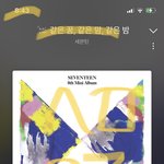 [세븐틴] 내가 <b>이상한</b>건가? 왜 스밍도 안하지?
