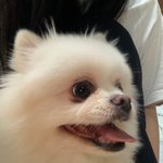 아침메뉴 골라주면 <b>남친</b>생김
