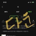[세븐틴] 다운 &amp; <b>선물</b>인증