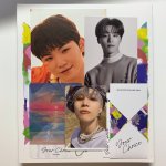 아이돌 병크 공론화