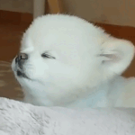 슴덕인데 요즘 sm 분위기 좋은것같음