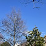 [드루와] 미국 유학 / <b>이민</b> 생활 질문 ㄱㄱ