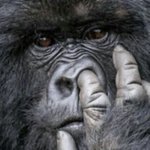 [댓글부탁해] 뿌링클콤보 맛있어???