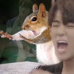 [더보이즈] <b>아기</b> 그립톡 주문한 <b>사람</b>