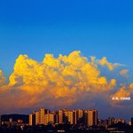 [이태용] <b>맛밤</b>