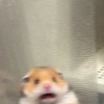 이거 <b>문맥</b> 맞는지 좀