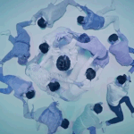 [모두드루와] 전체캠으로 봐야하는 세븐틴 예쁜 대형 모음