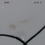 [NCT즌] 맴이 찢어진다