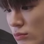 [NCT즌] 사모예드 사진만 보면 <b>이</b>제노로 보이는 <b>병</b>걸림