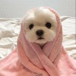 [꼭읽어줘] 얘들아 나 지금 썸남 4명임ㅅㅂㅋㅋ…
