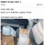 나 현직업 포토샵 디자인 쪽이고