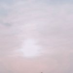 <b>멸망</b>보는사람ㅠㅜ
