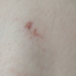 얘들아 하루에 <b>몬스터</b>랑 핫식스 하나씩 먹으면