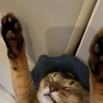 [NCT즌] 근데 텐 <b>작년</b>에 진짜 바쁘게살았다