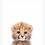 [NCT즌] 이거 <b>증사</b> 뽑았는데 일코가능??