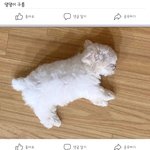 [NCT즌] 이거 대갈<b>이얌</b>?