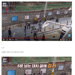 베스트<b>여경</b>글의실체