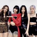 [블랙<b>핑크</b>] 내가 블핑 팬톡 살린다…