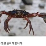 <b>나대</b>네 못생긴게