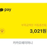 [NCT즌] ㅅㄷ 이 부족금액 <b>자동</b>충전이란 게 뭔 말이야?