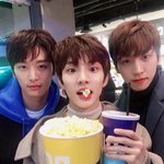 [더보이즈] 뽀둥한 <b>아가</b>들