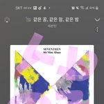 [세븐틴] 플디에서 자가격리 키트 보내줬나보네