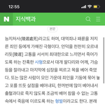 능지<b>처참</b> <b>개</b>끔찍하지 않냐