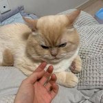 [드루와] 디에<b>타민</b> 구해줄사람