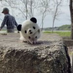 [댓글부탁해] 나 엄마한테 판밍<b>아웃</b> 함