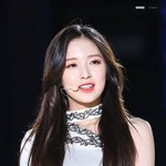 평생 <b>막</b>냉이 응애할<b>줄</b> 알았는데