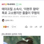 에이프릴 입장문은 독이될 거임 (+데슾 입장문, 불<b>송치</b> 결정서)
