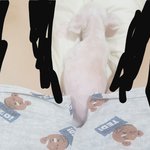 얘들아 이거 은근 좋지 않냐