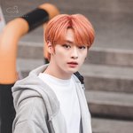 [스키즈] 리노 이머리 <b>찰떡</b>이네