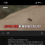 [댓글부탁해] ㅅㅂ 모기마저 <b>모에</b>화 하네