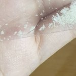 [댓글부탁해] 애들아 나 악취미 <b>비듬</b>모으는건데