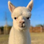 [<b>빅뱅</b>] 요즘 빠진 <b>빅뱅노래</b>를 적어보자!