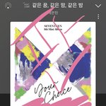 [세븐틴] 호시 폰케 후기