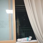 <b>창문</b> 틀 좋아하는 강아지 있나요?