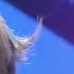 [NCT즌] 엔시티 뿔 현황(4/7)