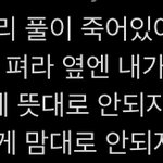 [NCT즌] 아 이마크 역시 랩 진짜 잘하네
