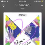 [세븐틴] 약간 히쟈나는 가상 줌 캠 앵콜 줌은 <b>현실</b> 줌 캠