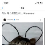 [스키즈] <b>미노</b>가 깜찍한 짓을 했었네