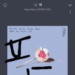 [스키즈] 타팬친구랑 <b>전화</b>하는데