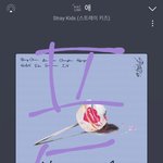 [스키즈] 좀 신기하다