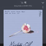 [스키즈] 킹덤즈 <b>응원</b>해용 !!!