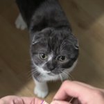 너네. 싸<b>불당</b>해본적있냐